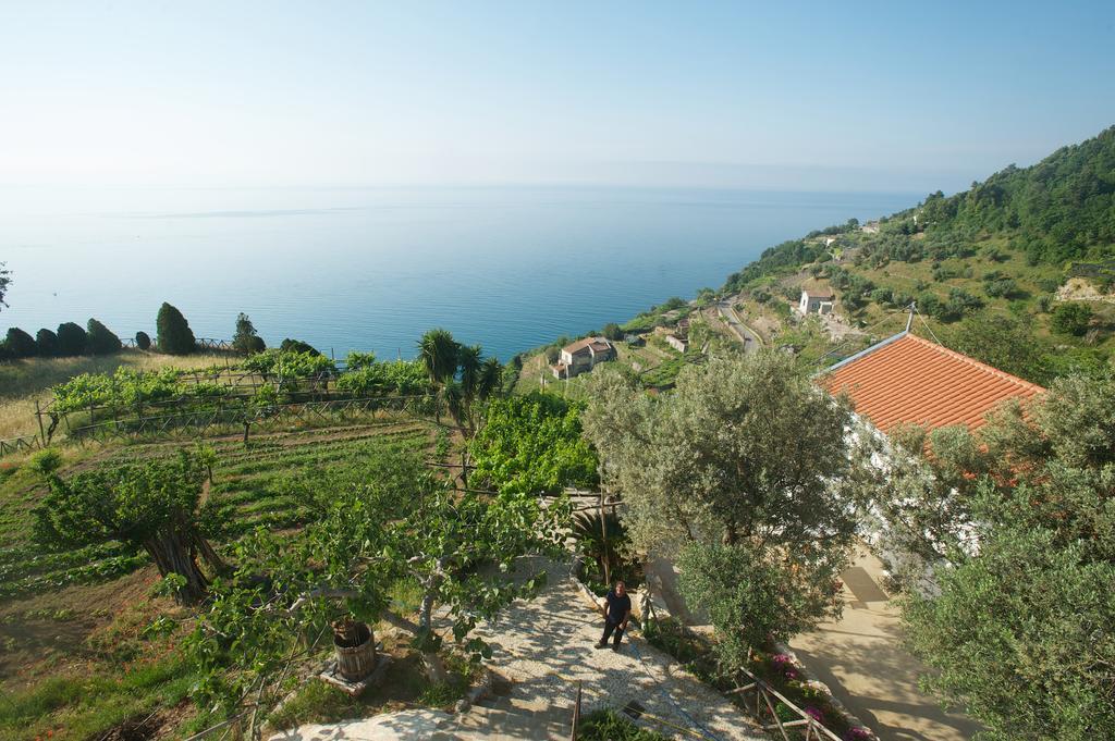 Villa Sopra Il Limoneto Cetara Exterior foto