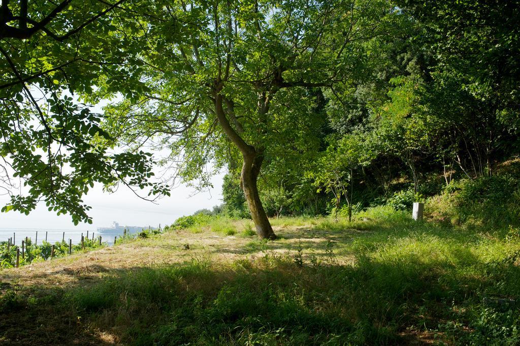 Villa Sopra Il Limoneto Cetara Exterior foto