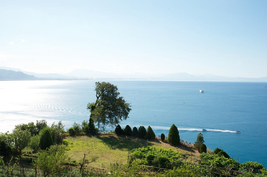 Villa Sopra Il Limoneto Cetara Exterior foto