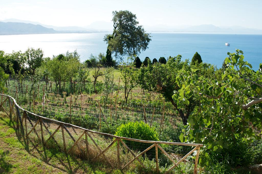 Villa Sopra Il Limoneto Cetara Exterior foto