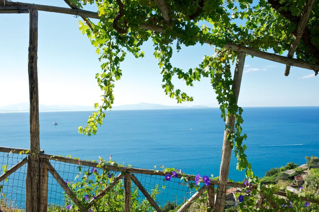Villa Sopra Il Limoneto Cetara Exterior foto